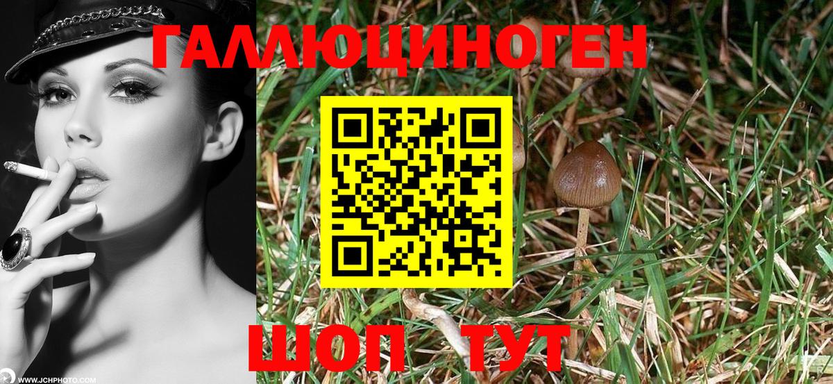Галлюциногенные грибы GOLDEN TEACHER Фурманов